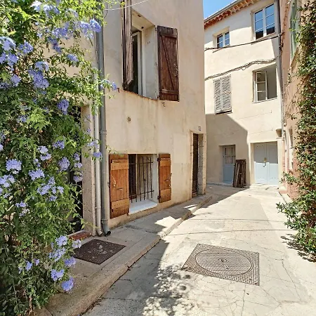 Apartman Magnifique Coeur Vieil *