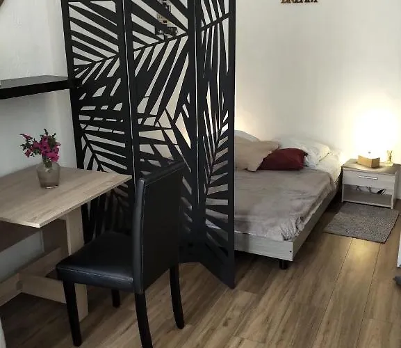 Daire Magnifique Coeur Vieil